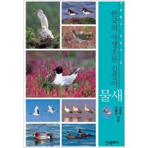 한국의 야생조류 길잡이 물새