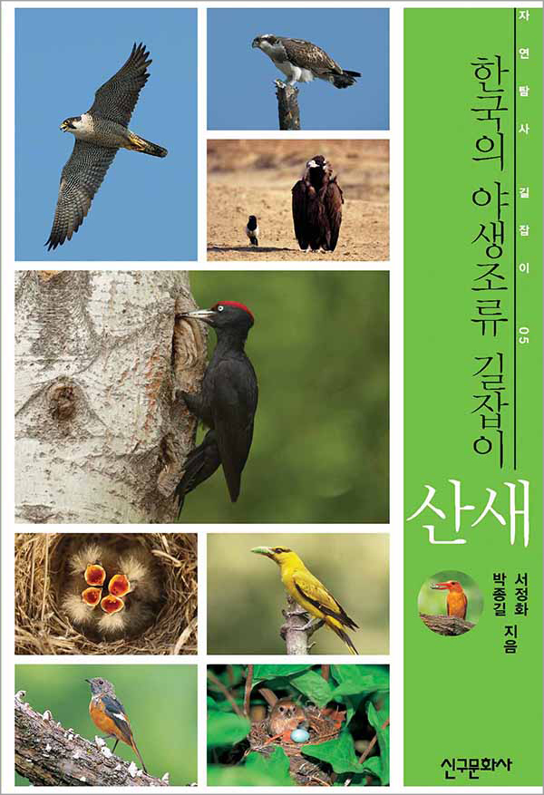 한국의 야생조류 길잡이 산새(절판)